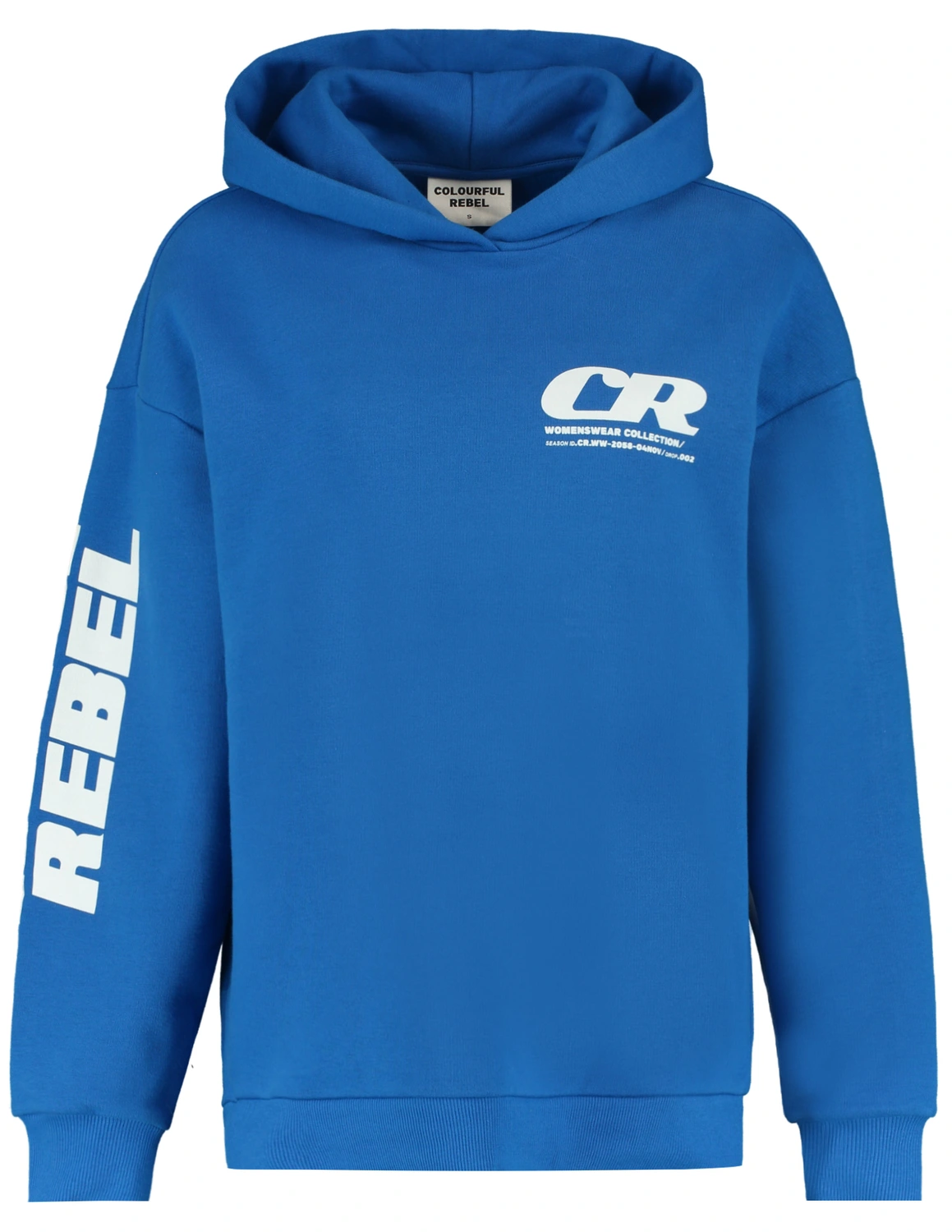 Colourful Rebel Bold Sleeve Logo Clean Hoodie WH116093